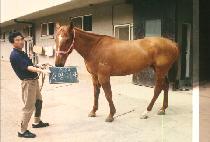 Ư����� (TEUK MYOUNG DAE SA) ����