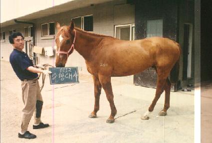 Ư����� ����