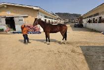 �ض���� (HAERANG RUBY) ����