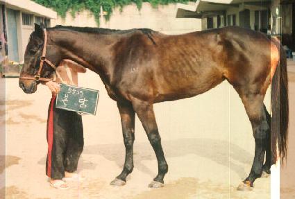 ���� ����