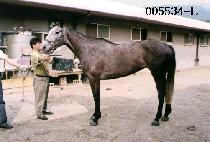 Ÿ�� (TA RYEUK) ����