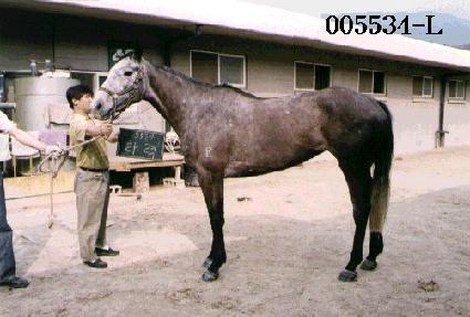 Ÿ�� ����