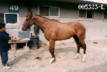 Ȧ�μ��� (HOL LO SEU GI) ����