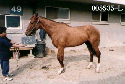 Ȧ�μ��� ����