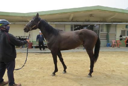 ���������� ����