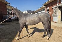 MY LUCKY DAY picture