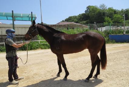 ��踦���� ����