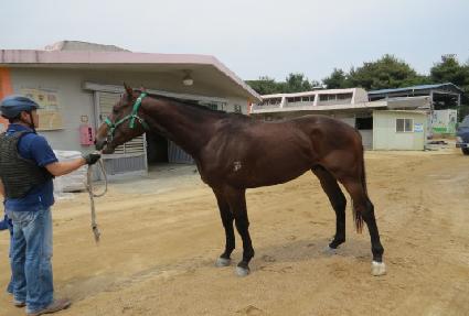 õ������ ����