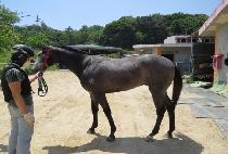 ���ϴ´�� (MALHANEUNDAERO) ����