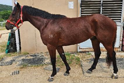 �ƻ��� ����