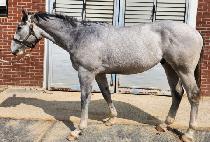 FOR THE VICTORY picture