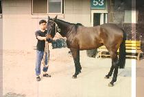 ��±�� (SANG SEUNG GI RYU) ����