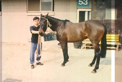 ��±�� ����