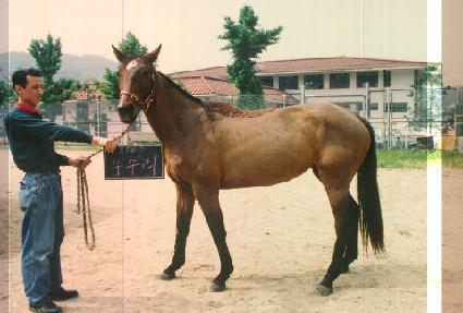 ������ ����