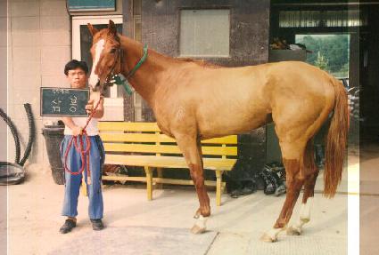 ��� ����