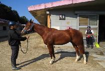 ���� (MYEONG MAN) ����