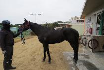 �������� (FREE THE ONE) ����