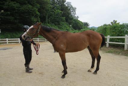 ����Ŭ���� ����