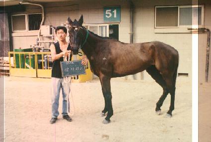 �Ʊ��ڱ� ����