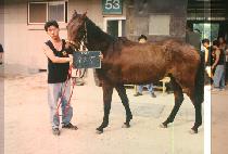 ����ĭ (MOHIKAN) ����