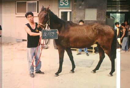 ����ĭ ����