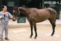 ����ġ (JEUNG WI CHI) ����