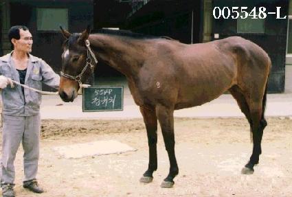 ����ġ ����