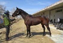 GEOLJAK BEONGAE picture