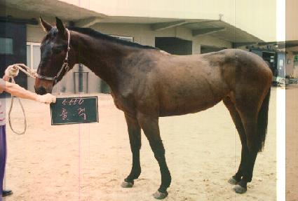 ��� ����