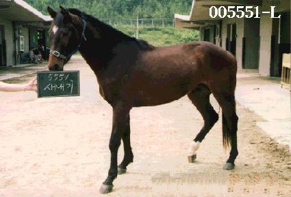 ������ ����