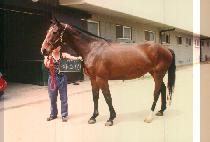 �ڽ��� (JASMIN) ����