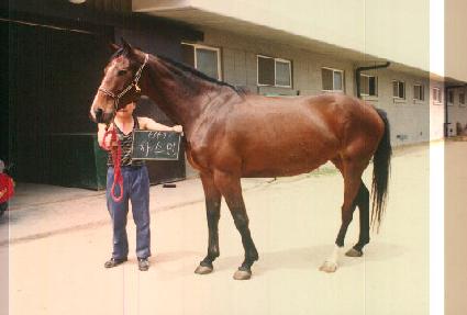 �ڽ��� ����