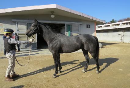 ��������� ����