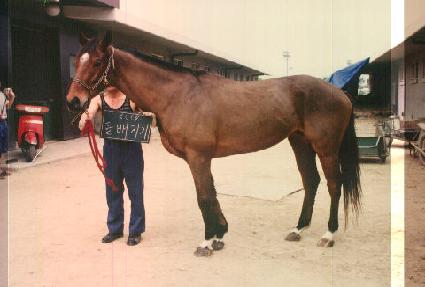 ������� ����