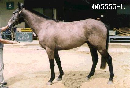 ����õ ����