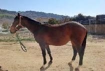 DARE TO DREAM picture