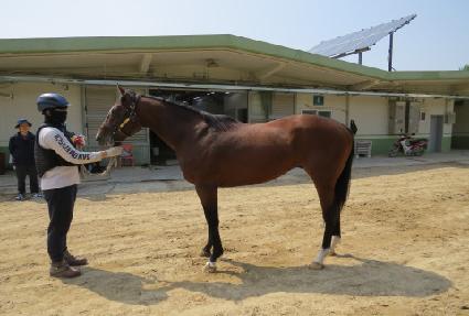 �۷θ����� ����