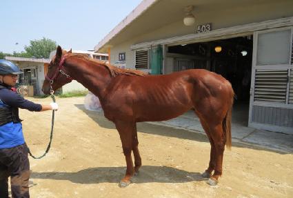 ���ӿ����̾� ����