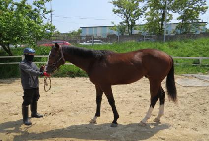 �ᳪ�� ����