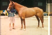 �伮 (YO SEUK) ����