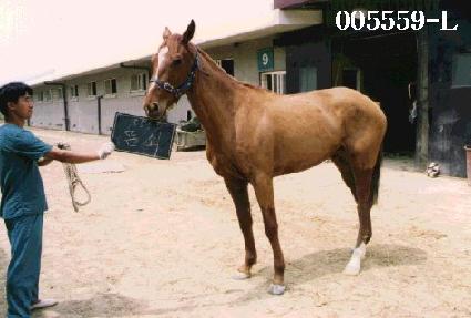 ��� ����