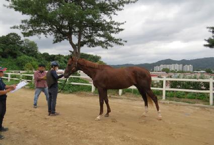 ����Ƽ��� ����