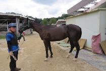 �������̽� (STORM CHOICE) ����