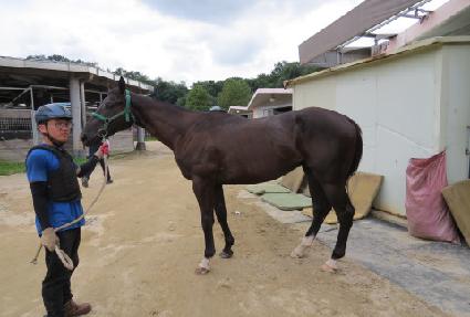 �������̽� ����