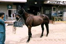 ���幫��ȸ (KA JANG MU DO HAE) ����