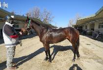 ���ö��� (QUEEN PLAZA) ����