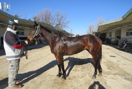 ���ö��� ����