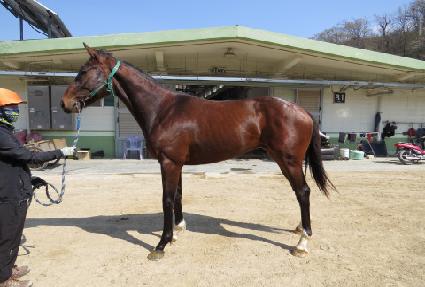 ���̽��� ����