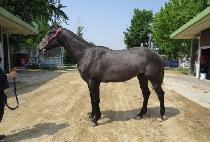 ī������ (CARA WINNER) ����