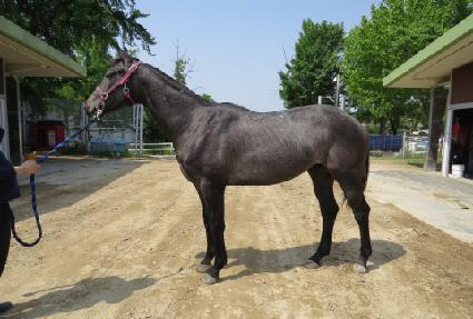 ī������ ����